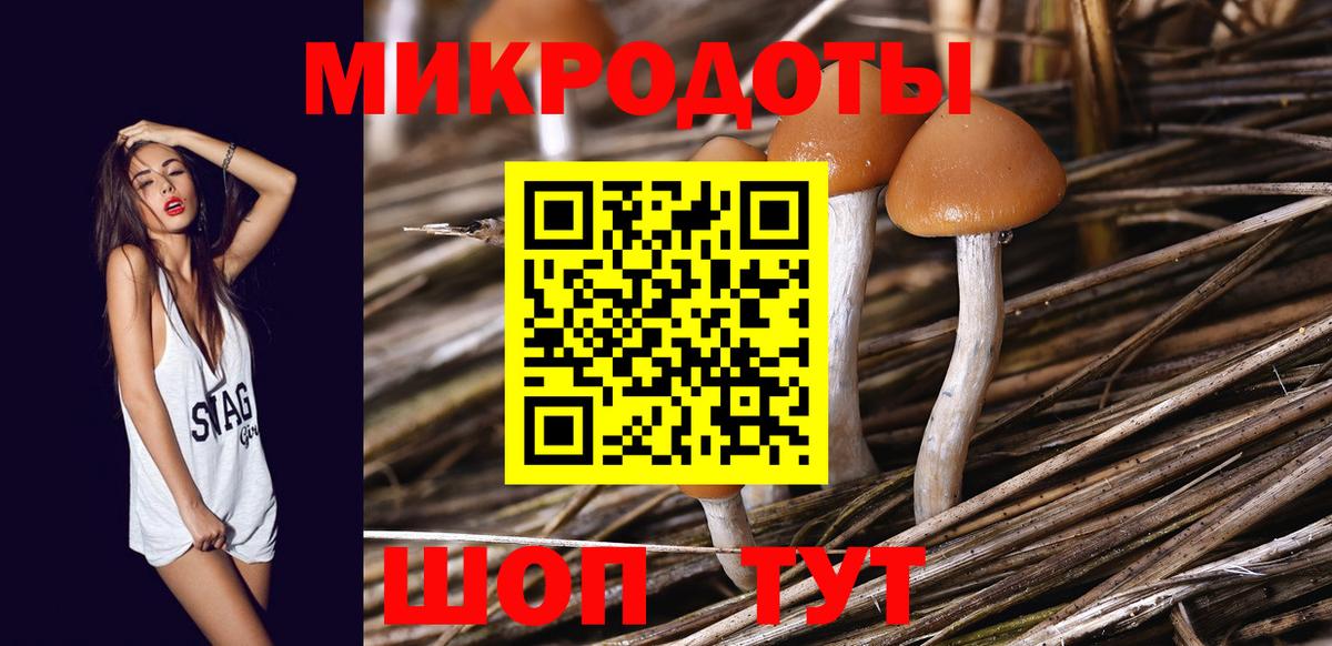 Псилоцибиновые грибы ЛСД Черногорск