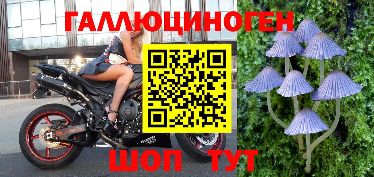 дарнет шоп  Галлюциногенные грибы Cubensis  Галлюциногенные грибы ЛСД  Вход с VPN  Черногорск 