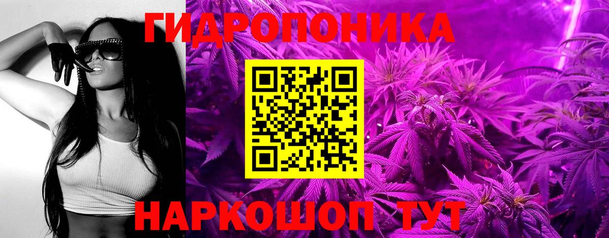 Бошки марихуана Ganja  Каннабис марихуана  Черногорск  Вход с VPN  Бошки Шишки гибрид 
